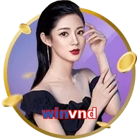 winvnd