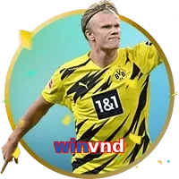 winvnd