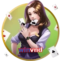 winvnd