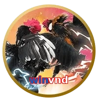 winvnd
