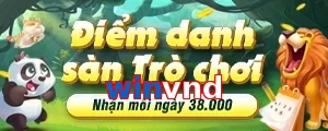 winvnd