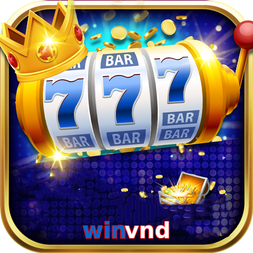 winvndv.com favicon