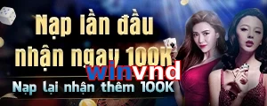 winvnd