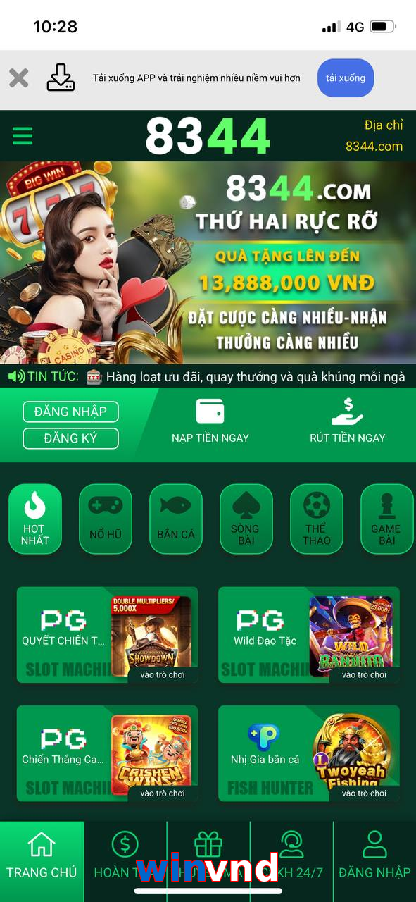 winvnd