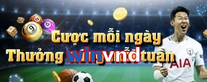 winvnd