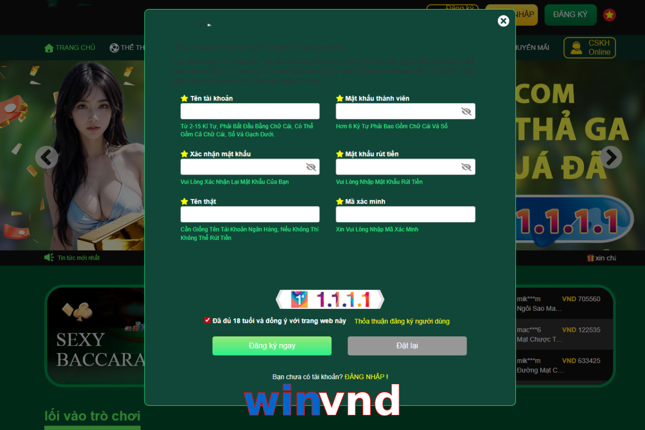 winvnd